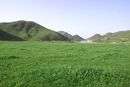 中国第一牧场-南山境内景区美景