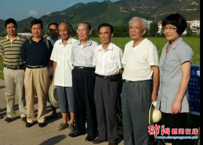 省老科协深入绥宁武阳调研水稻育种科研